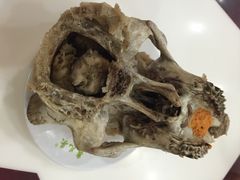 泉儿头杂碎(城东店)-泉儿头杂碎·清真(城东总店)