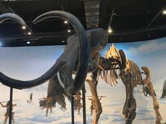 -辽宁古生物博物馆