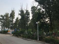 -顺鑫绿色度假村