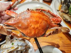-大家发海鲜城夜排档(华山中路店)