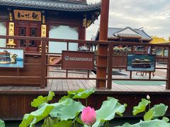 -西湖游船