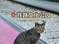 -铁路文化公园
