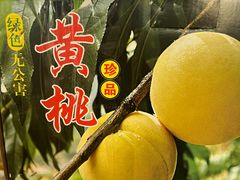 -小六农家乐(崇明西沙湿地店)