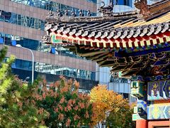 -Plush大堂酒廊(北京金融街威斯汀大酒店)