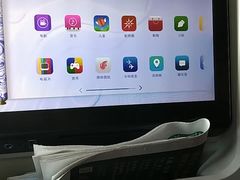 -蒙特利尔皮埃尔·埃利奥特·特鲁多国际机场