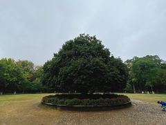 -灵谷景区