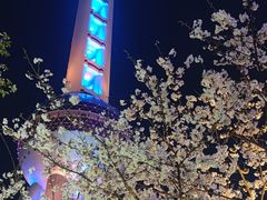 -东方明珠广播电视塔