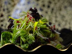 开胃大拌菜-扬州狮子楼·非遗淮扬菜(总店)
