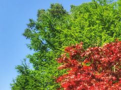 -贵阳市花溪国家城市湿地公园
