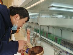 -歌斐颂巧克力小镇