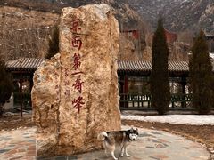 -鸡鸣山旅游风景区