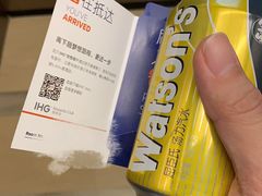 -北京民族园葉子里酒店(鸟巢店)