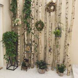 -新蝶变皮肤管理中心