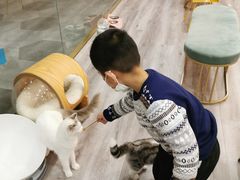 -BABIT巴比特宠物(MOMOPARK店)