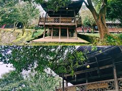 -唐崖土司城遗址