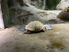 -祥源·阜阳生态乐园