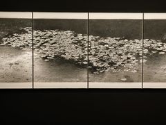 -江苏省美术馆(长江路新馆)