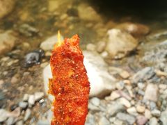 -雅鲁激流探险漂流