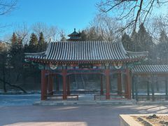 -近春园遗址