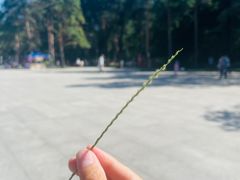 -黑龙江省森林植物园