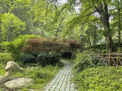 -素山寺森林公园