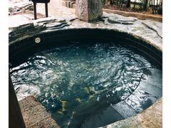 -龙达温泉生态城