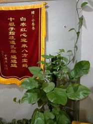-Dr.林醫生产后修复·配方产康(南京江宁万达店)