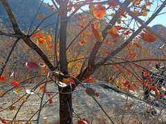-狼牙山风景区