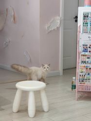 -Beauty Nails 美甲美睫皮肤管理