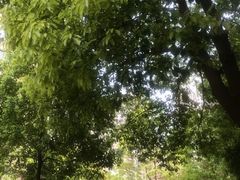 -丽华园(青少年宫店)