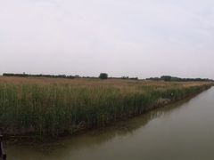 -泗洪洪泽湖湿地景区