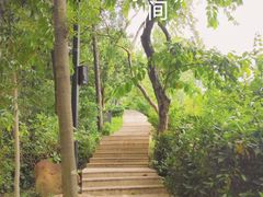 -广州市白云山风景名胜区