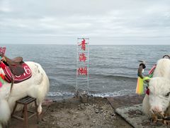 -青海湖国家重点风景名胜区