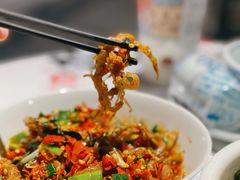 鸭掌筋-壹盏灯(惠农店)