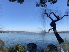 -浙江西子宾馆·瑶园咖啡厅