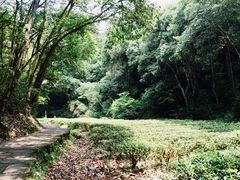 -武夷山风景名胜区-虎啸岩