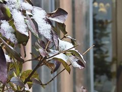 -后海16号·北京私房菜