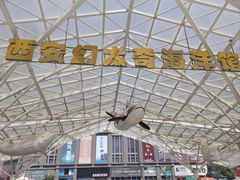 -太奥幻太奇海洋馆