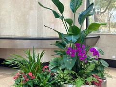 -新虹桥中心大厦