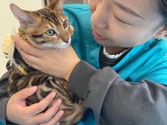 -美迦爱-牙专科·兔科·骨科诊疗中心(北苑店)