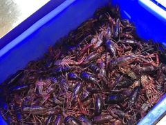 -李氏圣鲸大型自助餐