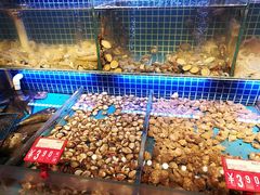 -必点海鲜·鲅鱼水饺(鞍山西道店)