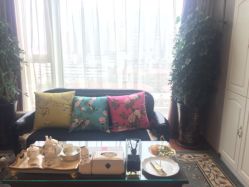 -scarlet斯卡莱美容护理机构