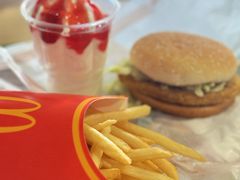 -麦当劳(红旗路店)