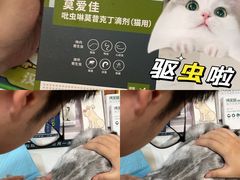 -pd派德宠物中心医院24H急重症·眼科中心·血液透析中心(嵩山北路店)