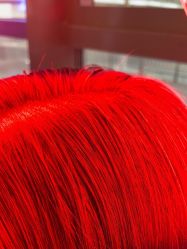 -碧莲盛·不剃发植发