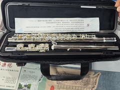 -南京雅格琴行长笛萨克斯专卖