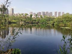 -重庆彩云湖湿地公园