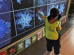 -长白山万达国际滑雪场
