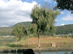 -比顿咖啡(和顺古镇店)